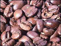 Planta descoberta tem 20 vezes menos cafeína do que as comerciais