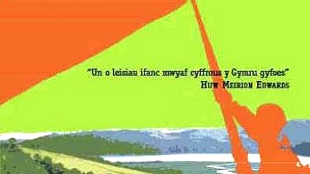 Rhan o glawr Banerog