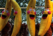 Bananas laughing
