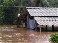 Cảnh ngập lụt ở Phú Thọ - ảnh VietNamNet