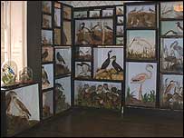 Display of stuffed birds at Sheringham Hall.
