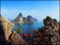 Phong cảnh Hạ Long (ảnh Dương Minh Long)