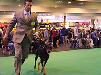 At the first day of Crufts 2006