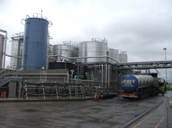 Biodiesel plant