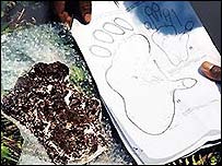 हिममानव का पदचिह्न (फ़ाइल फ़ोटो)