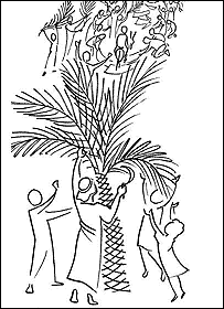 اینی ویلوٹن کی تصویریں