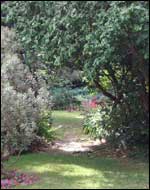The Dappled Garden