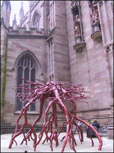 کامران نجفی