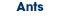 Ants