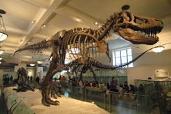 Jean de Dinteville and Georges de Selve (‘The Ambassadors’) by Hans Holbein the Younger 1533 © The National Gallery, London