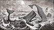 Engraving of boats attacking whales by Thomas Beale, 1839