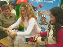 Casamento de cachorro