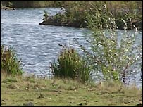 Inside The sanctuary