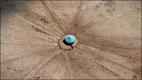 Fazenda de criação de porcos em Wiltshire (foto: Jason Hawkes)