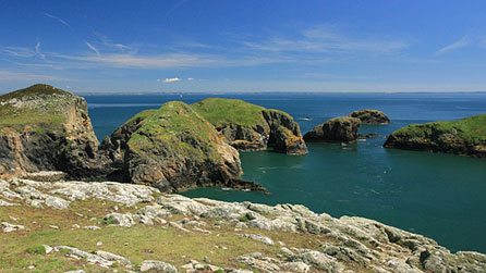 Ramsey Island. Photo: Janet Baxter