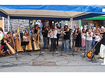 Y Glerorfa o flaen Tŷ Siamas