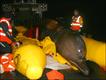 Foto: British Divers Marine Life Rescue
