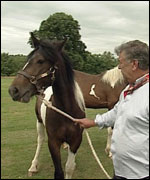 Horse and Frank Ball