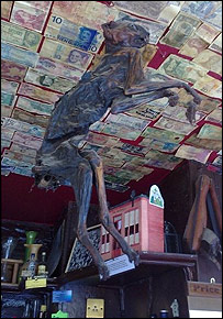 Petrified cat, The Nutshell