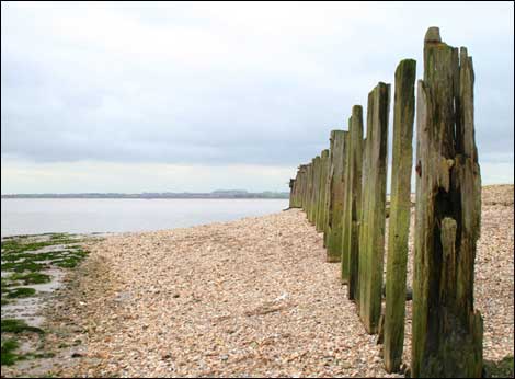 Pier stumps on the beach 470