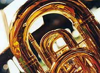 endangered instruments