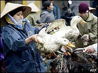 Chợ gia cầm ở Việt Nam