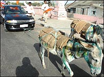 भारत में सड़क के नियमों की कितनी परवाह है?