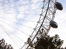 The London Eye