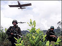 Fumigação aérea em plantação de coca na Colômbia