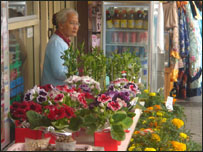 Hoa vạn thọ và hoa cúc cho người tha phương 