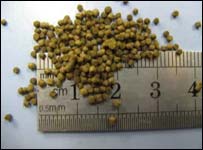 د کبانو لپاره ترکيبي خواړه