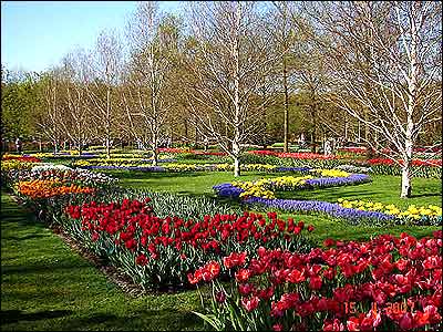 بهار در هلند