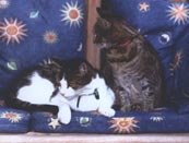 Click for More Pictures