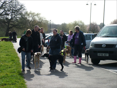 Arriving for the Big Dog Walk 