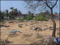 A mass grave in Saindamarandu (photo Elmo Fernando)