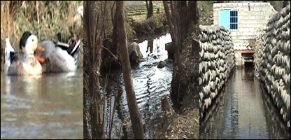 د ويالو پاکول