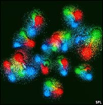 Representação de quarks em um átomo de carbono (Imagem: SPL)
