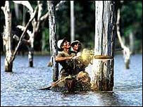 Amazon ormanlarında ağaç kesimi