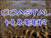 Coastal Humber