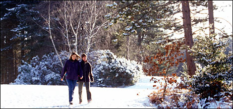 People walking in snow [photo: Woodland Trust]
