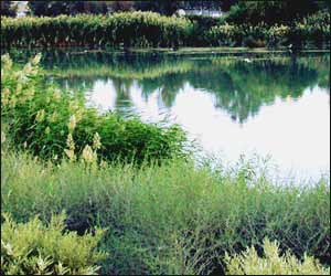 عکس از سعيد پورسعيد