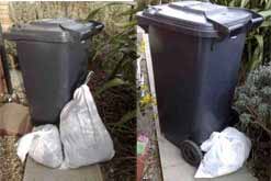 How Karen's bins have slimmed over six weeks