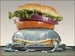 'Jellyfish Burger' (ilustração: David Beck, Clarkson University, e Jennifer Jacquet, University of British Columbia)