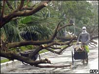 Vietnamitas fogem do Xangsane