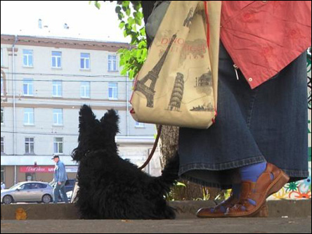 Фото Олега Таткова