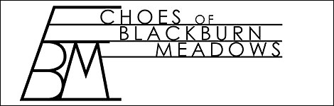 Echoes of Blackburn Meadows project - graphic