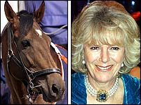 کمیلا پارکر بؤلز اور ریس کا گھوڑا