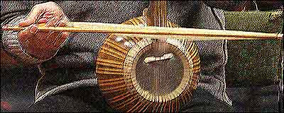 کمانچه - عکس از پوريا ماهرويان