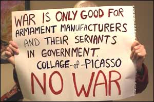 Ann's protest banner, quoting Picasso