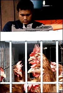 Falta de compensação a produtores seria principal causa de subnotificação 